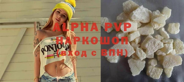 индика Беломорск