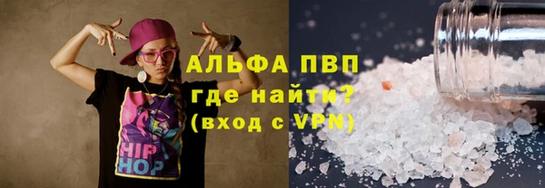 индика Беломорск