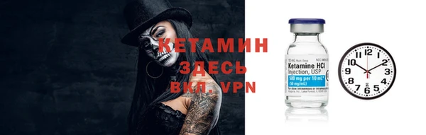 индика Беломорск