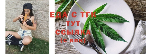 индика Беломорск
