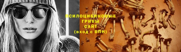 спиды Белоозёрский
