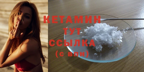 индика Беломорск