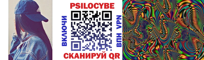 где можно купить   Колпашево  блэк спрут зеркало  Псилоцибиновые грибы Magic Shrooms 